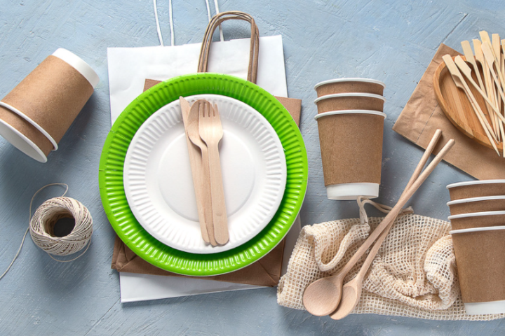 Best Eco-Friendly Business Ideas to Start in 2026